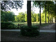 134_P1030229.JPG Het Willemsbos is genoemd naar Willem de zoon van de eigenaar van het bos de heer Beckeringh. De Willemseik werd op 10 juni 1904 geplant.