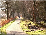 153_P1060262.JPG Het villapark is vanaf de Ugchelsegrensweg ontsloten voor fietsers en wandelaars.